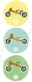Review Wishbone  / Wishbone 3 in 1 Training bike