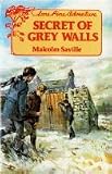 The Secret of Grey Walls