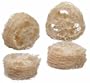 Super Bird Creations Loofa Stuffers Bird Toy