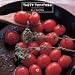 Tasty Tomatoes French 2010 Wall Calendar