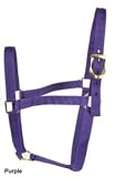 Basic 2-Ply Halter with Snap Average Blue