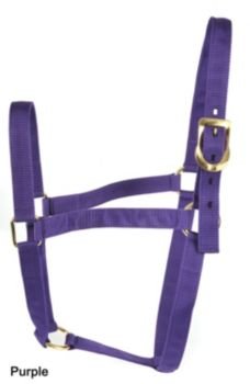 Basic 2-Ply Halter with Snap Average Black