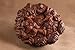 Green's Bakery Round Kosher Chocolate Babka - 26 oz.