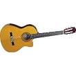 Takamine EG124C Classical Cutaway Acoustic-Electric Guitar
