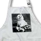 Dogs Maltese - Maltese - Aprons