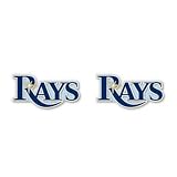 Tampa Bay Rays Official Silver Logo Earrings