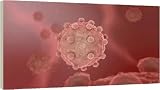 Virus, computer artwork - 16 Inch Canvas Print (40cm) by Science Photo Library