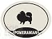   - Pomeranian Euro Decal