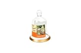 Keep It Simple With Katie Brown Glass Garden Cloche 6-inch Tall