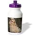 Dogs Cocker Spaniel - Cocker Spaniel - Water Bottles