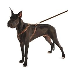 Dog Gone Smart Harness, 1" x 30-40", Olive/Khaki