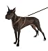 Dog Gone Smart Harness, 1" x 30-40", Olive/Khaki