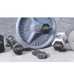 PlateMate Microload Pair 5/8 lb. Magn...