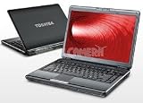 Toshiba Satellite M305-S4835 14