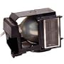 InFocus SP-Lamp-009 InFocus Projector Lamp Bulb