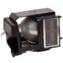 InFocus SP-Lamp-009 InFocus Projector Lamp Bulb