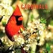 Cardinals 2009 Wall Calendar