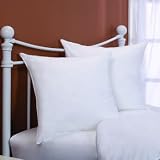Two 26 x 26 Square Euro Pillows