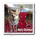 Sandy Mertens Christmas Dog Designs - Christmas German Shepherd - Iron on Heat Transfers