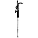 from Hama Hama Alpenpod Walking Stick with Monopod for DSLR Cameras Model 00004103