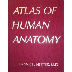 Atlas of Human Anatomy