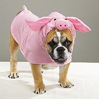 Pet Costume Piggy Pooch SMALL