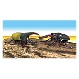 Rumble Bugs: Battling Beetle Challenge by Uncle Milton Rumble Bugs: Battling Beetle Challenge by Uncle Milton