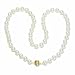 14k Yellow Gold Saltwater Cultured Akoya Pearl AA Grade 7-7.5mm Necklace, 16