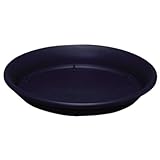 アイリスオーヤマ 受け皿 素焼風受皿 10号 ブルー