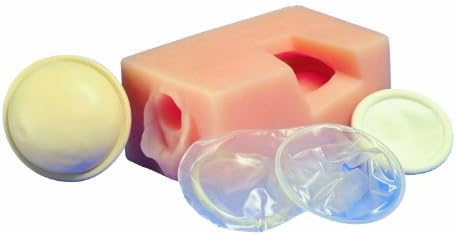 HEALTH EDCO W43079 Female Pelvis Contraceptive Model, 15cm Length x 9cm Width x 8cm Height