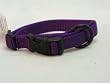 Hamilton "Fits All" 5/8" Adjustable Nylon Dog Collar, Purple, Small (12-18 in)