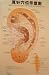 Acupuncture Ear Chart