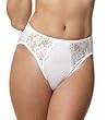 Lunaire Piccadilly full coverage stretch lace hicut brief