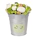 The Baby Bunch Organic Bucket Bunch - Buff Apricot, 0-6 Months