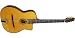 Gitane DG-455 Acoustic Electric Oval hole Gypsy Jazz Guitar