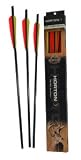 Horton Carbon Strike MX Carbon Arrows Crossbows & Accessories