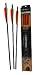 Sporting Goods : Carbon Strike MX 20" 6Pk Vanes