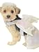 Angel Dog Costume with Halo & Wings Pet Medium