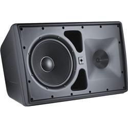 JBL Control 30 Three-Way Indoor/Outdoor Speaker, Black