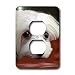 Dogs Maltese - Maltese - Light Switch Covers - 2 plug outlet cover