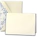 Blue Toile Bordered Notes