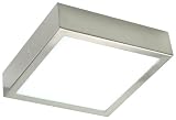 Ranex Fiuggi BYR3000005 Surface Mounted Brushed Steel/glass Ceiling Light, 230 x 230 x 60mm, 2x E14/40W Excl Bulbs
