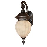 Nuvo Lighting Balun Large Fluorescent Chestnut Bronze Outdoor Wall Mount