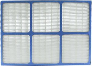 Holmes HAPF40CS HEPA Filter, 1 per package