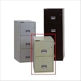 Schwab 2CFC-5000 Steel Lt. Gray Vertical 2 drawer legal 31 Inch deep fire impact file