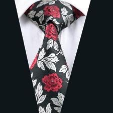 Dan Smatree Business Men's Tie Jacquard Woven Silk Ties Necktie JV603