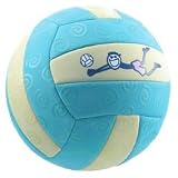 Life is Good Good Times Aqua Volleyball Sunrise