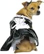Fench Maid Dog Costume