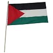 Palestine Flag 12 x 18inch