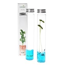 Plantarium Single Vial - pepper